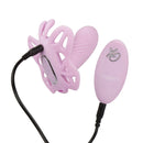 Venus Butterfly Remote Venus G