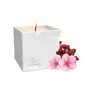 Afterglow Natural Massage Oil Candle